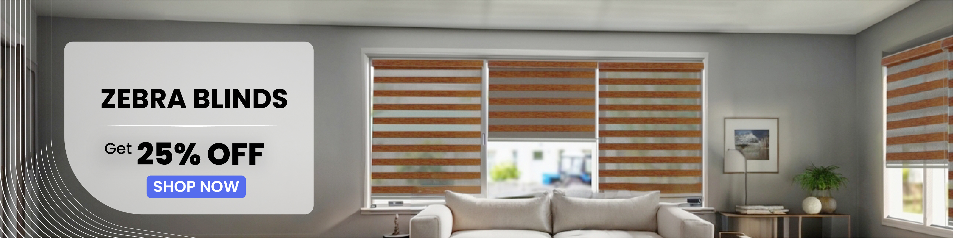 Zebra Blinds